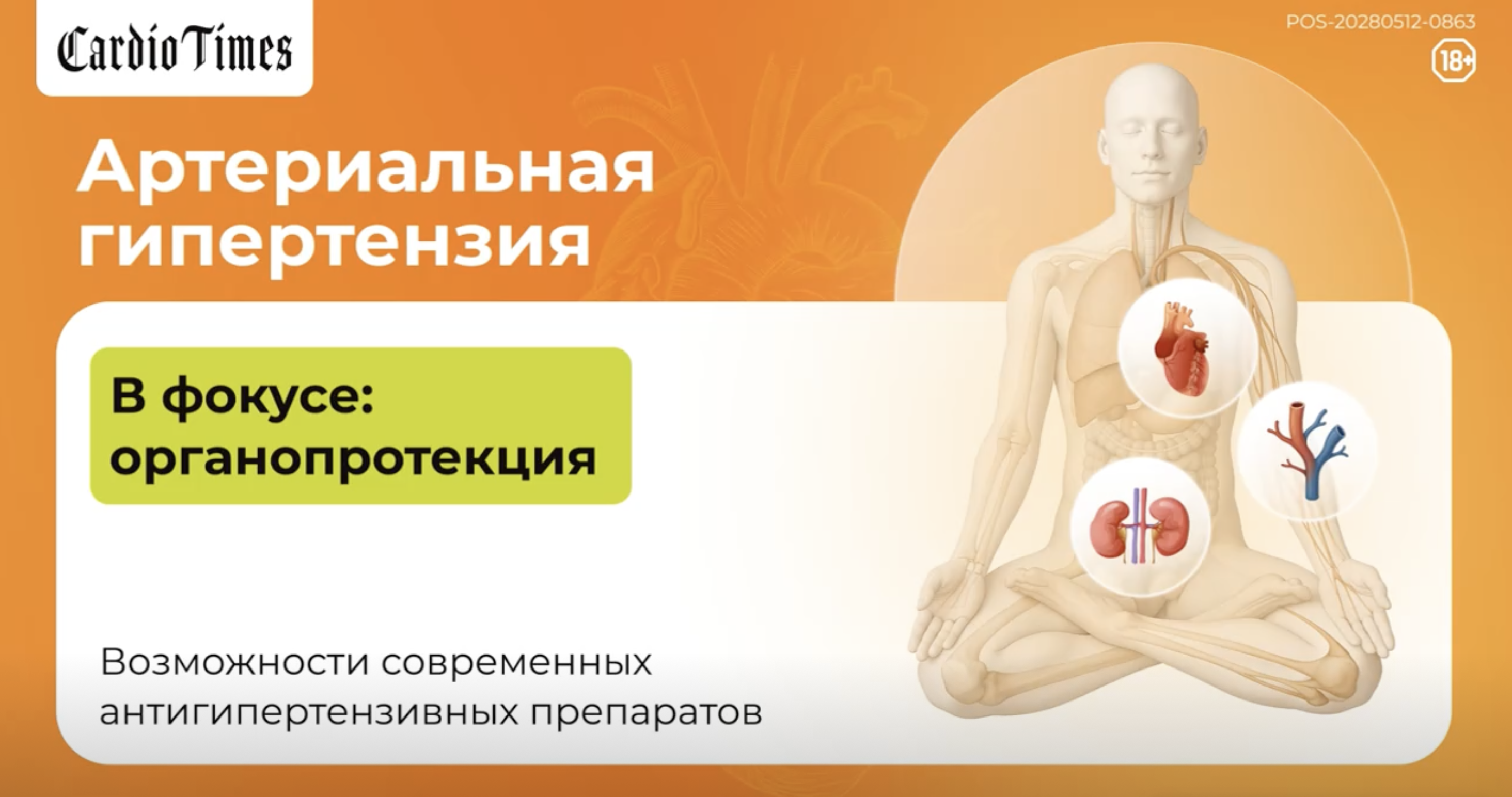 Органопротективные эффекты Эдарби Кло