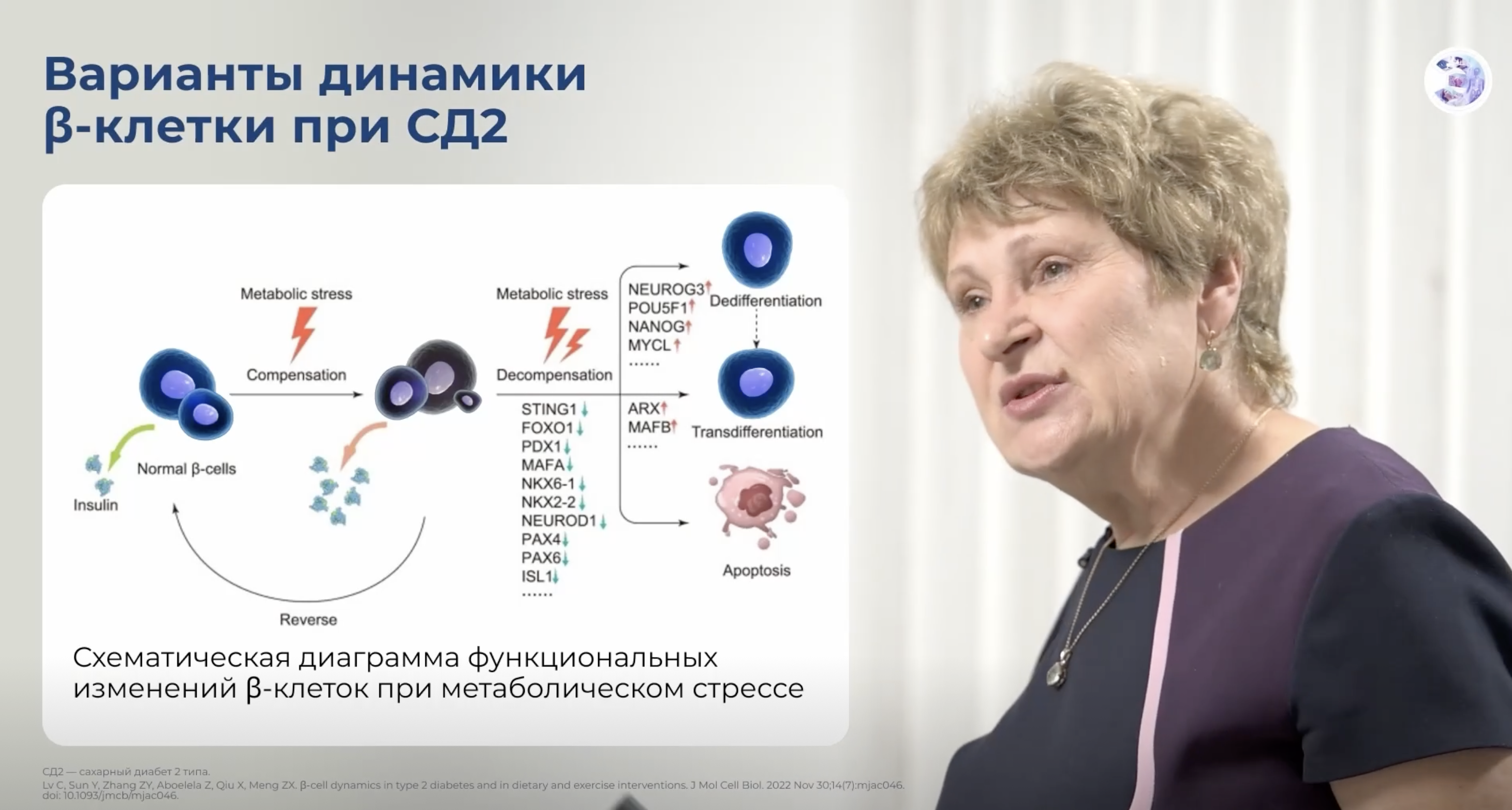 Секреты рациональной терапии СД 2 типа